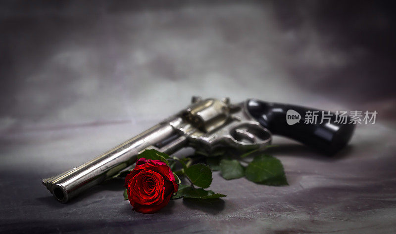 枪和玫瑰