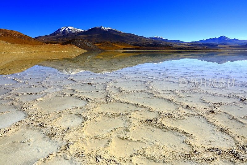 拉古纳-图亚克托湖和Miniques火山-绿松石湖盐反射和田园般的阿塔卡马沙漠，火山景观全景-圣佩德罗德阿塔卡马，智利，Bolívia和阿根廷边境