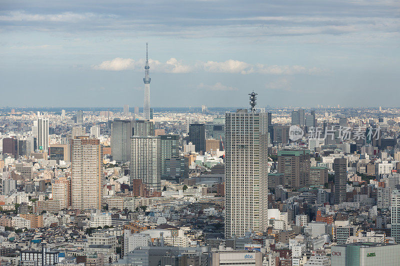 东京天际线和东京天空树在日本