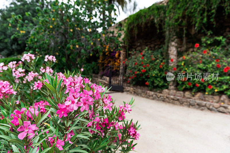 西班牙巴塞罗那奎尔公园著名的带花石柱