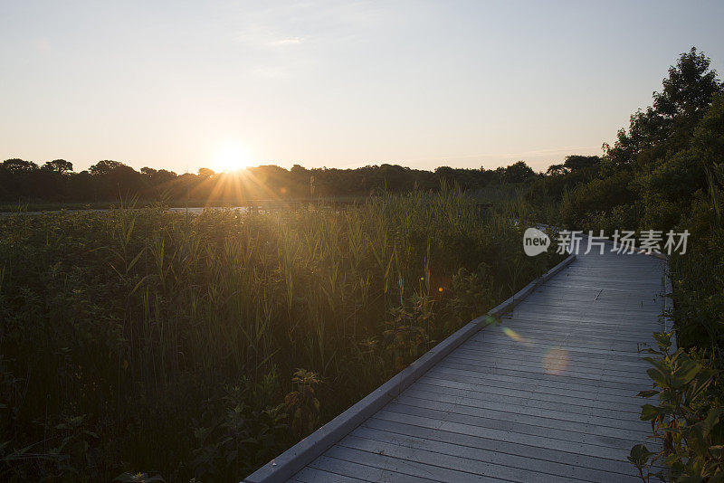 日出时，开普梅角州立公园的木板路