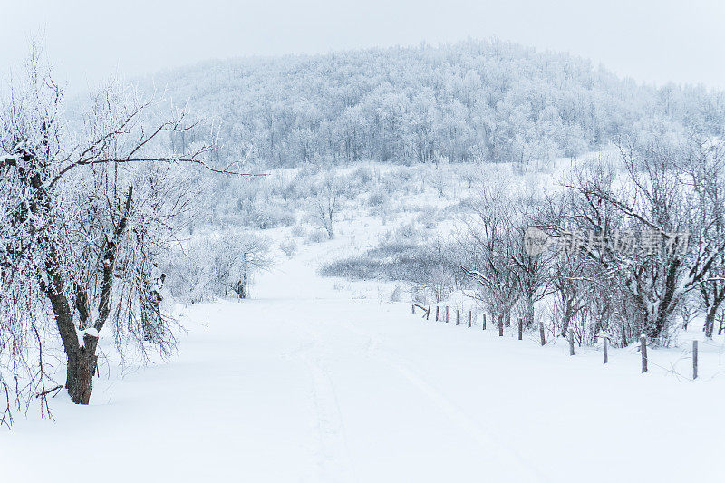 下雪的冬天lanscape