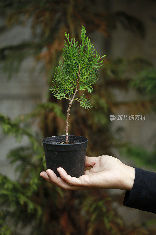 牵手新生命