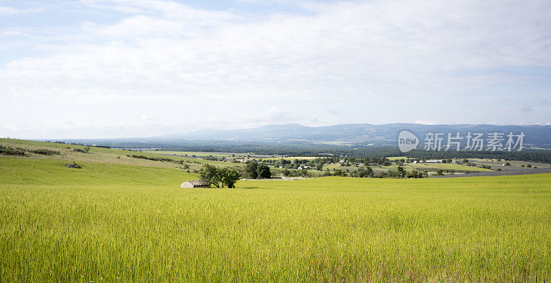 Provençal风景，法国南部