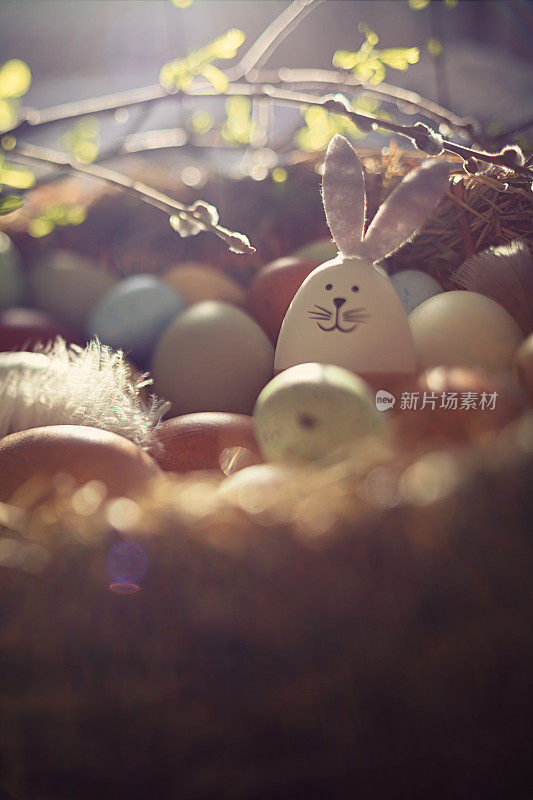 复活节装饰用精心制作的复活节兔子在阳光巢