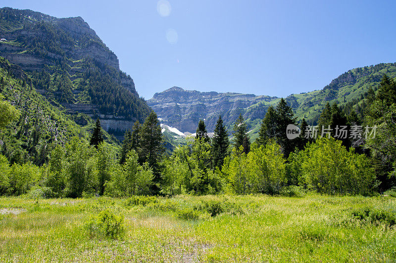 仲夏的Timpanogos山徒步旅行