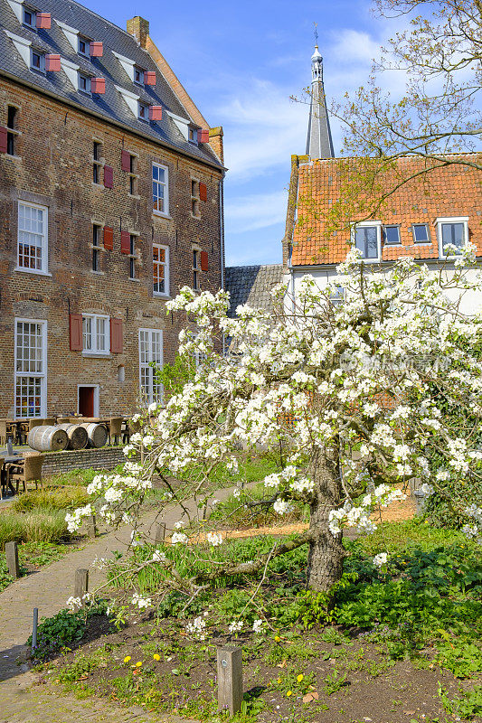 在一个美丽的春日，荷兰格尔德兰的Doesburg城市阿森纳