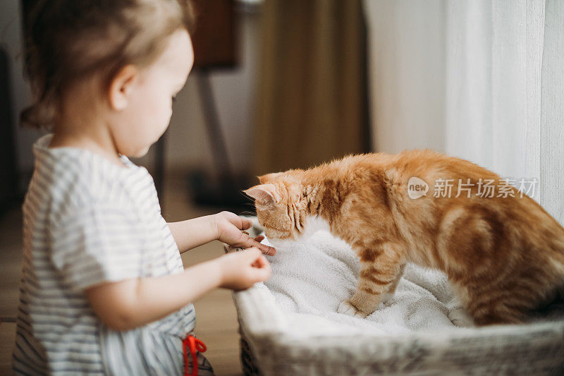 孩子在家里和猫玩。孩子和宠物。