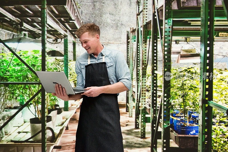 大麻店-一名男性员工正在笔记本电脑上工作