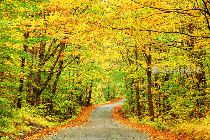 新罕布什尔州白山地区的秋天路