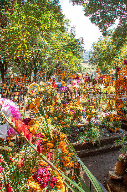 亡灵节墓地鲜花装饰