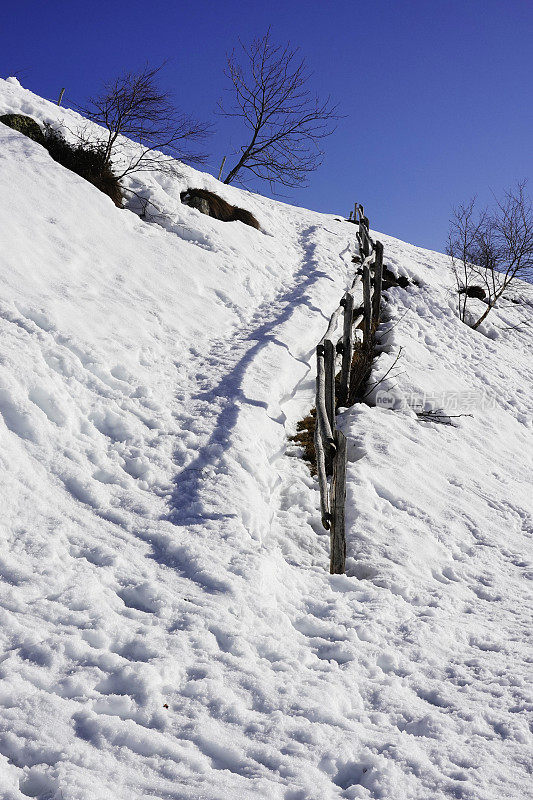 雪地上的小路