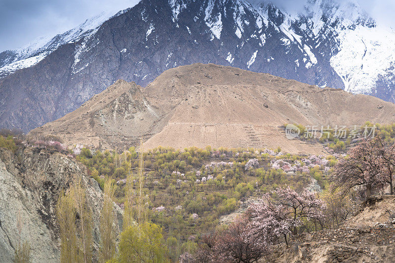 自然风景沿着喀喇昆仑山在罕萨山谷与樱花盛开的秋天巴基斯坦