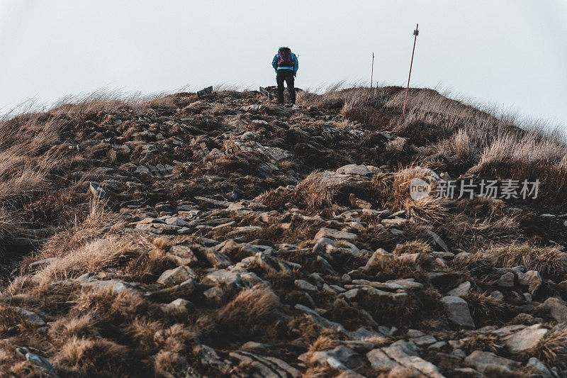 游客到达了山顶