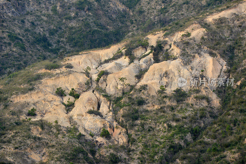 香港新界青山盆地