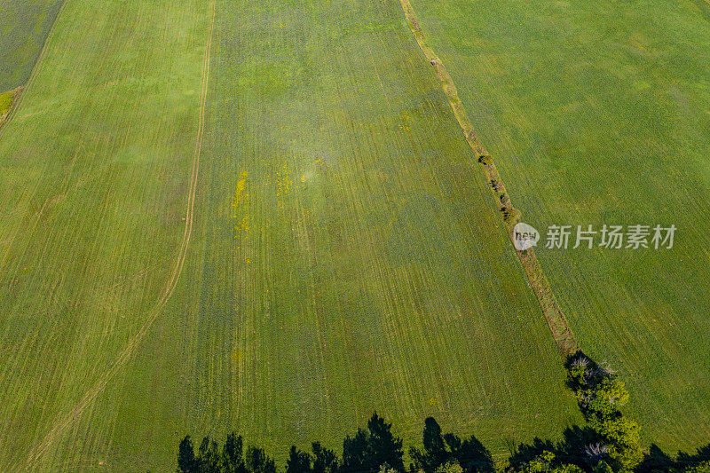 威廉格兰杰格林威Bindertwine公园-亨伯河小径在夏天，克莱因堡，加拿大安大略省