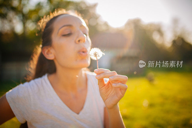 美丽的年轻女子吹蒲公英在麦田在夏季日落。