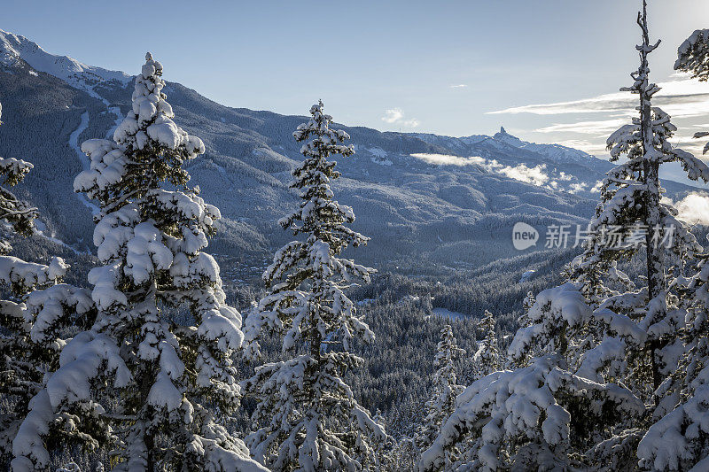 惠斯勒冬季风景优美，从山谷俯瞰。