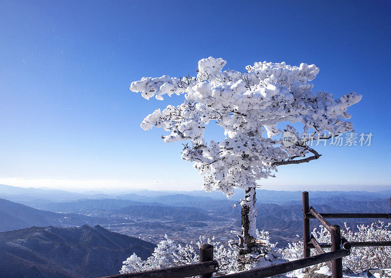 VD726雪场景