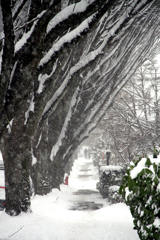 暴风雪的街道