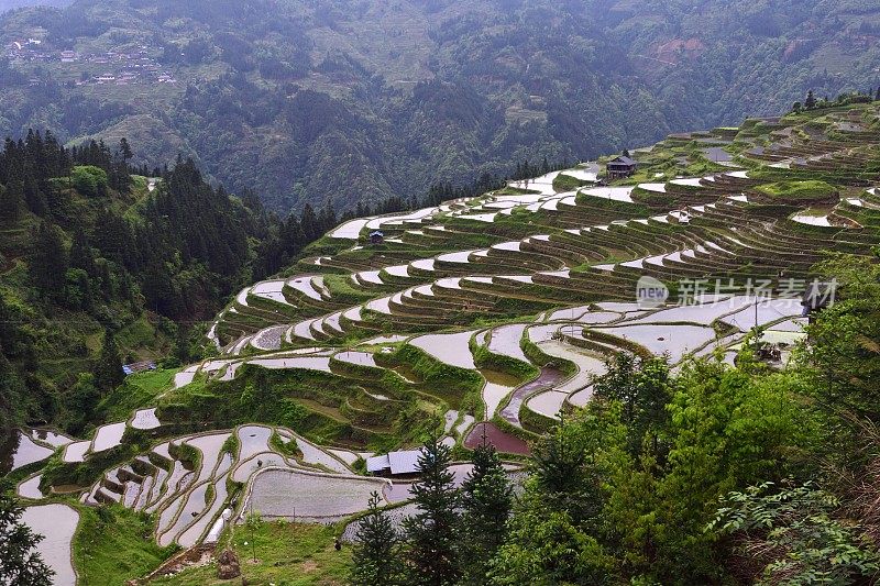 贵州,China-spectacular梯田