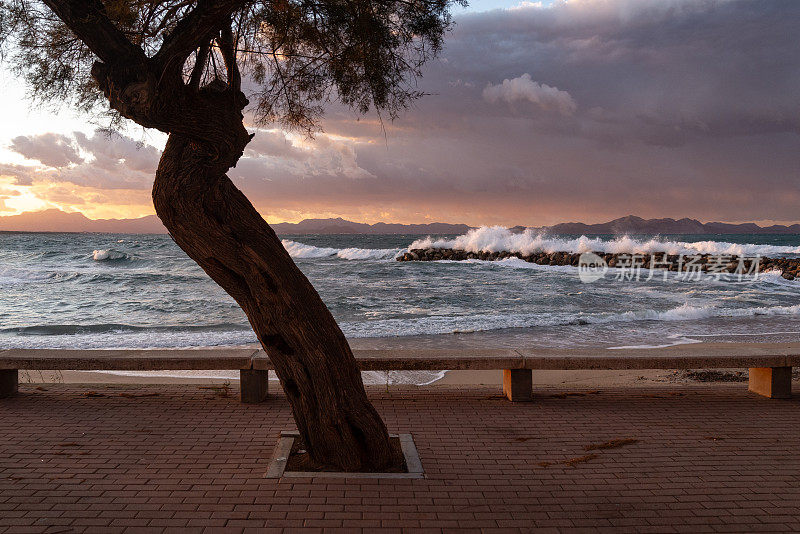 日落时分，巴利阿里岛马略卡岛圣培雷科洛尼亚滨海广场
