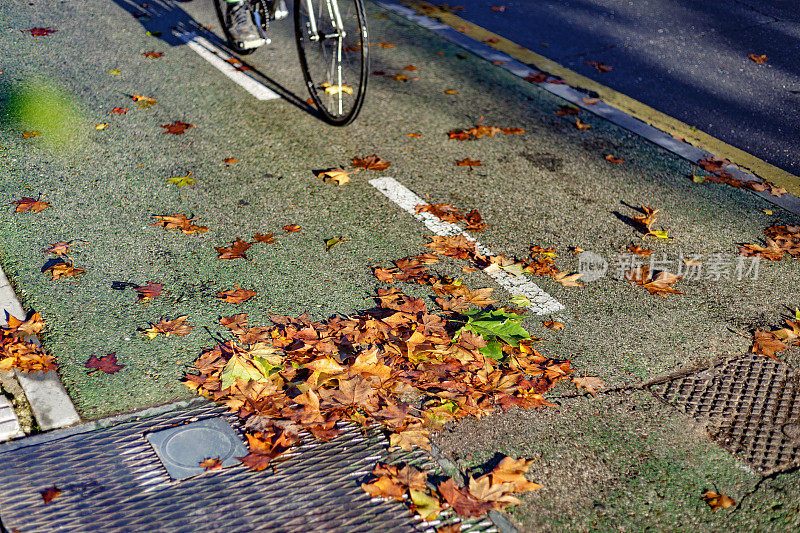 自行车在自行车道滚动。秋天的早晨，自行车道上的落叶。Alcorcon,马德里,西班牙。
