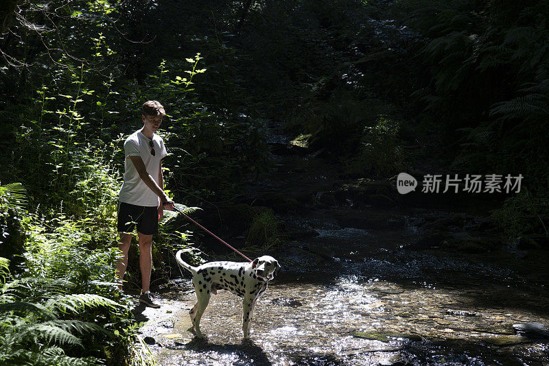 一个年轻人在遛达尔马提亚狗