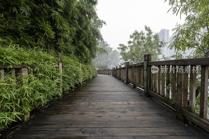 雨后，城市公园的木板路在晨雾中