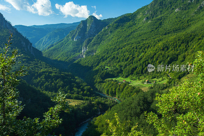 黑山杜米特国家公园塔拉河峡谷美丽的夏季景观