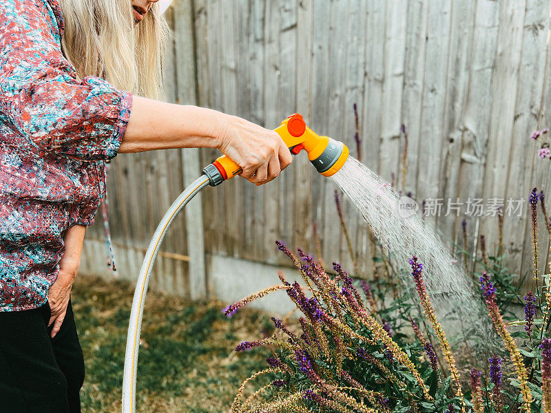 高级妇女在夏天用软管给花园浇水