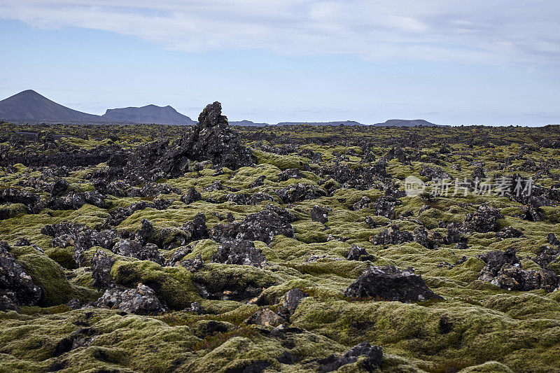 苔藓覆盖着冰岛的岩石和火山景观