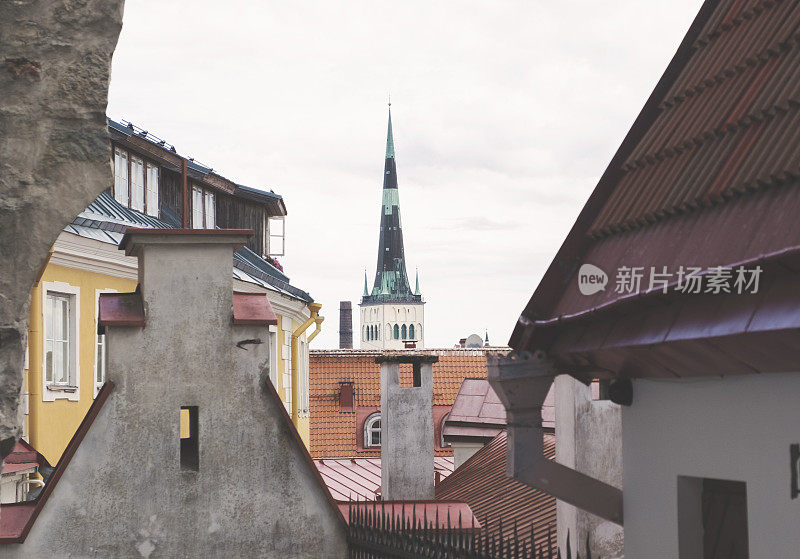 一座老教堂的瓦片屋顶和尖顶。爱沙尼亚的塔林老城。