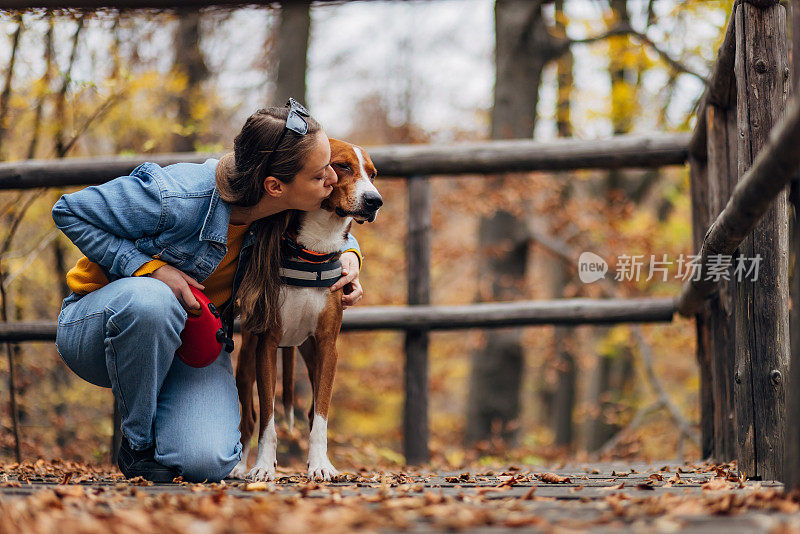 对狗和女人无限的爱。主人和她的宠物正在享受秋日