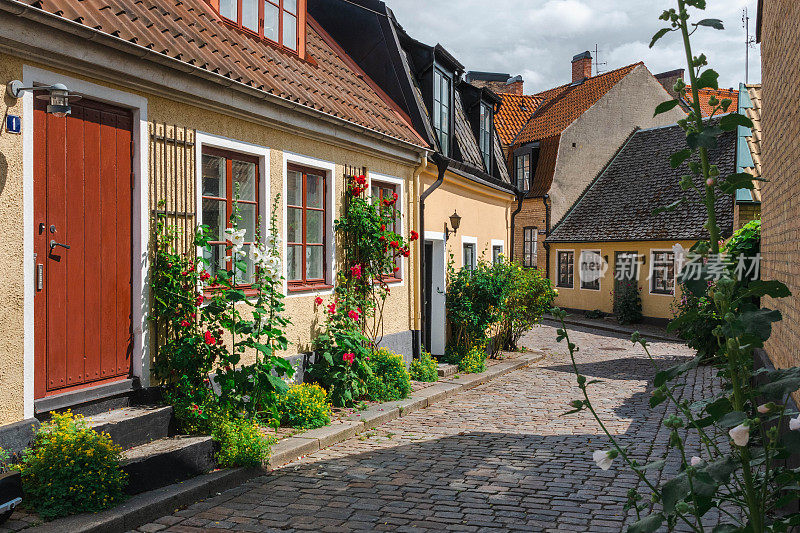 隆德(瑞典南部)内城典型的历史街道。大多数房子前面都是盛开的蜀葵