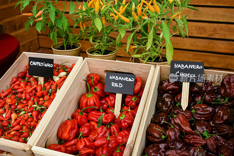 市场上的板条箱里装着各种辣椒。