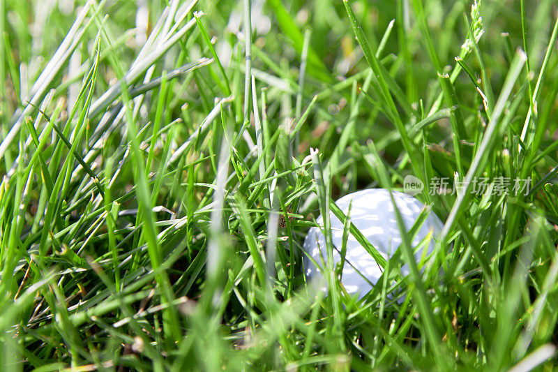 粗糙草地上的高尔夫球