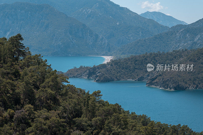 森林覆盖的山丘，海边的自然景观