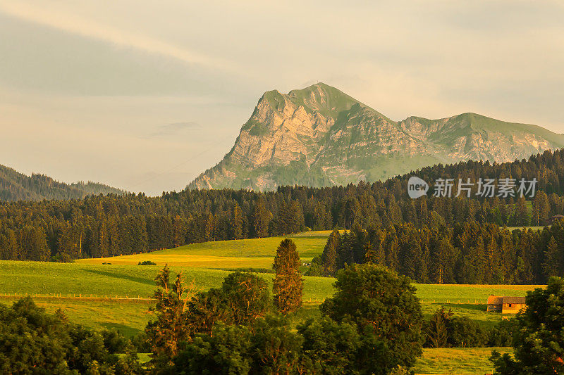 蒙特勒。瑞士阿尔卑斯山。日内瓦湖。瑞士的里维埃拉