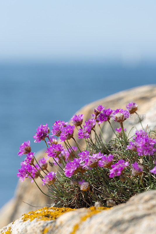 海岸线海上节俭