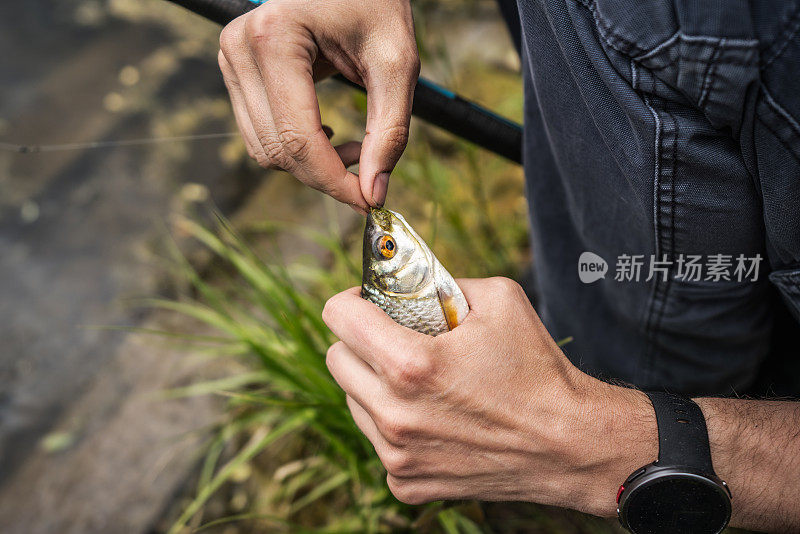 渔夫用渔具把鱼钩从鲈鱼的嘴里取出来