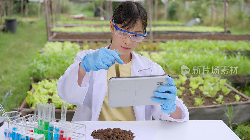土壤测试。一位女性植物学家用数码平板电脑比较结果。