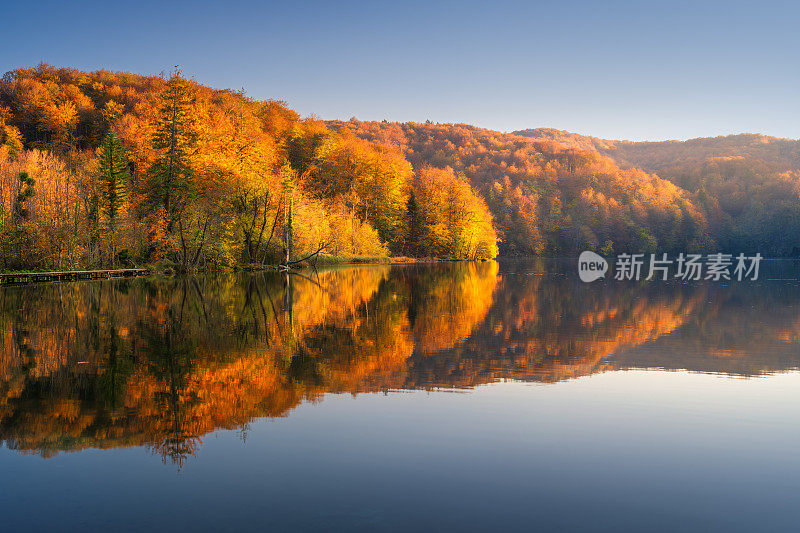 秋天日落时，山上的湖上有红色和橙色的树。在水中的倒影。乌克兰喀尔巴阡山脉的河流。傍晚的山林景观。神奇的大自然