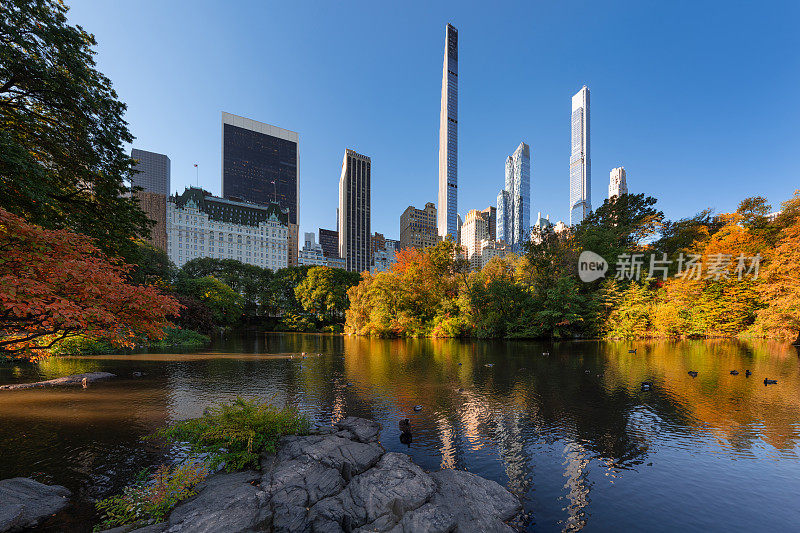 秋天的中央公园，在池塘边，亿万富翁排着超高层摩天大楼。纽约曼哈顿中城