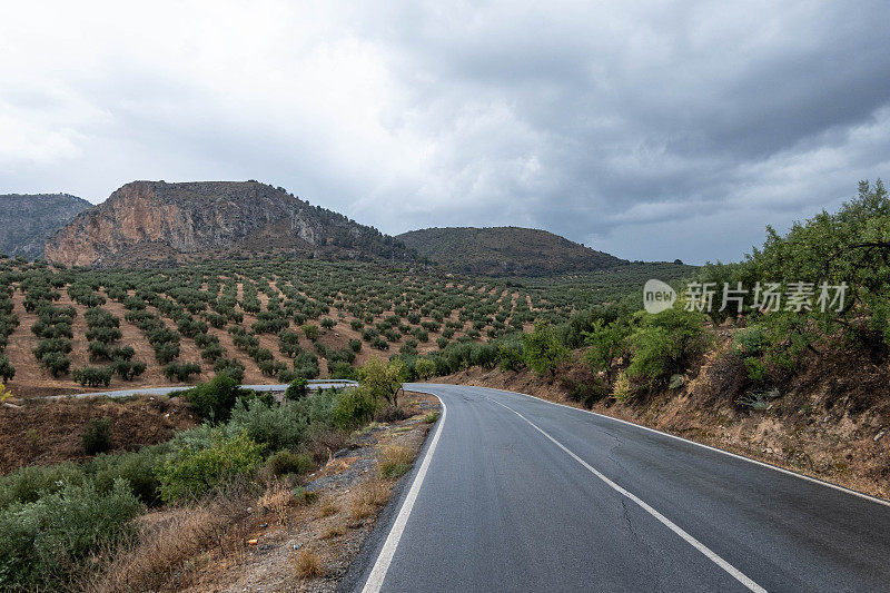 在格拉纳达和科尔多瓦之间，沿着蜿蜒起伏的莫札拉贝大道的道路欣赏着一望无际的橄榄树