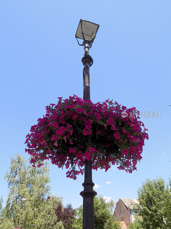 现代街灯复古风格，配花卉装饰