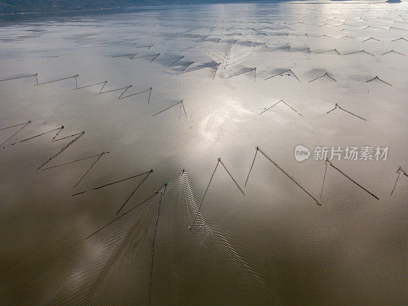 尼亚普泻湖