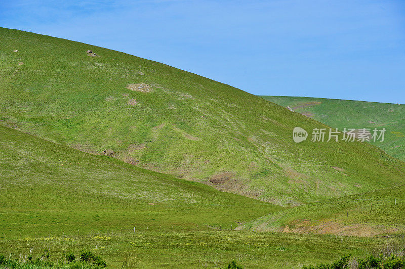 沿着加利福尼亚中部海岸线的草原