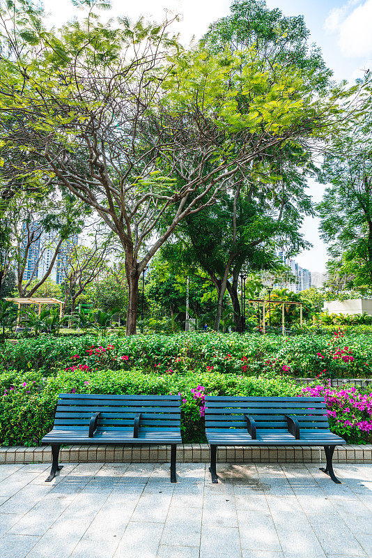 香港天水围公园内的小路