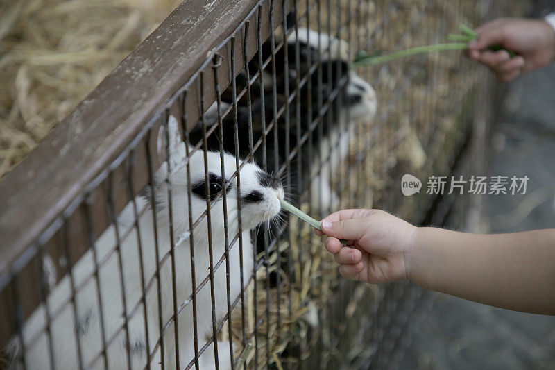 当地旅游业